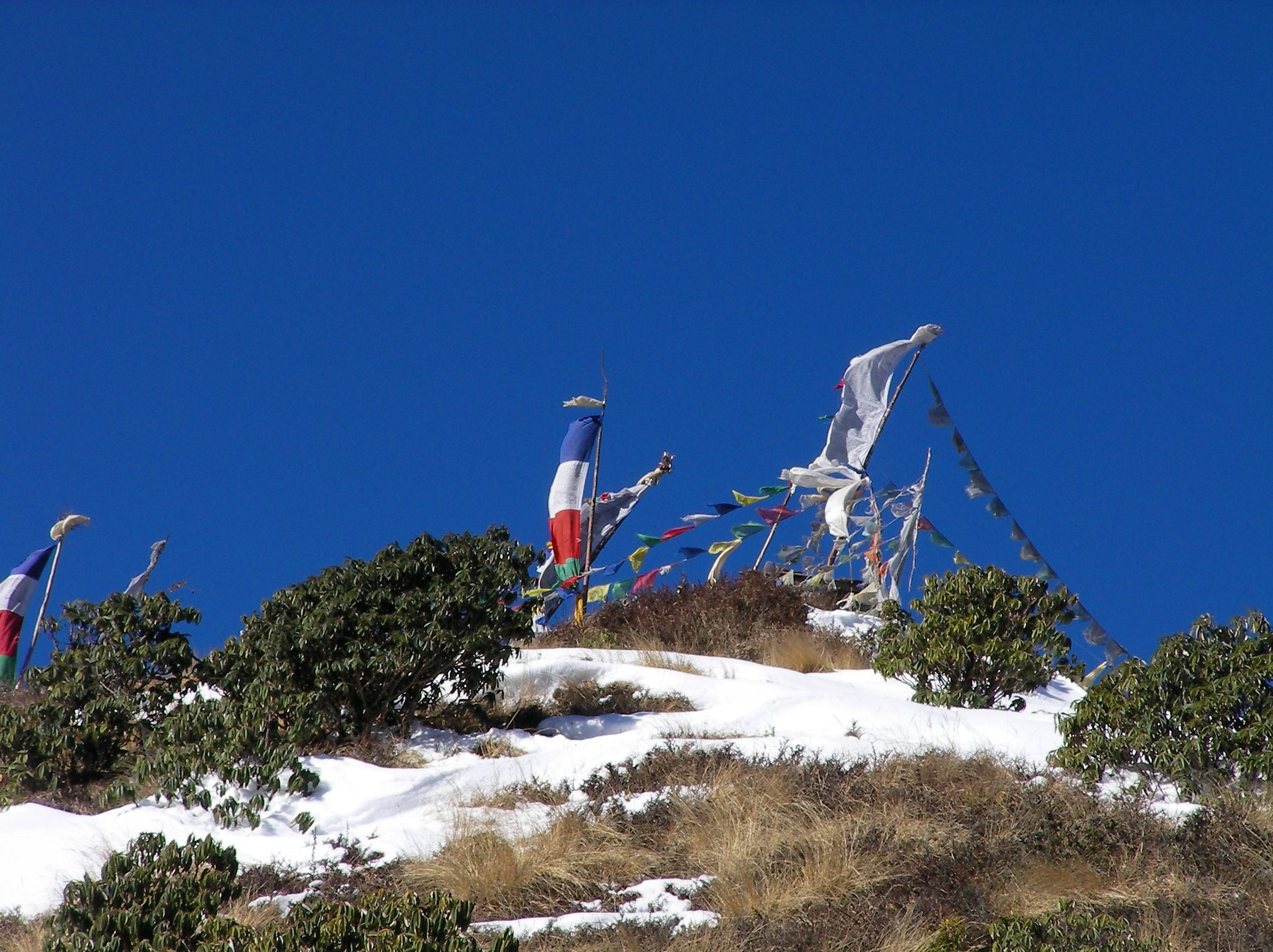 Day Hike to Poonhill and Trek Down to Taprang