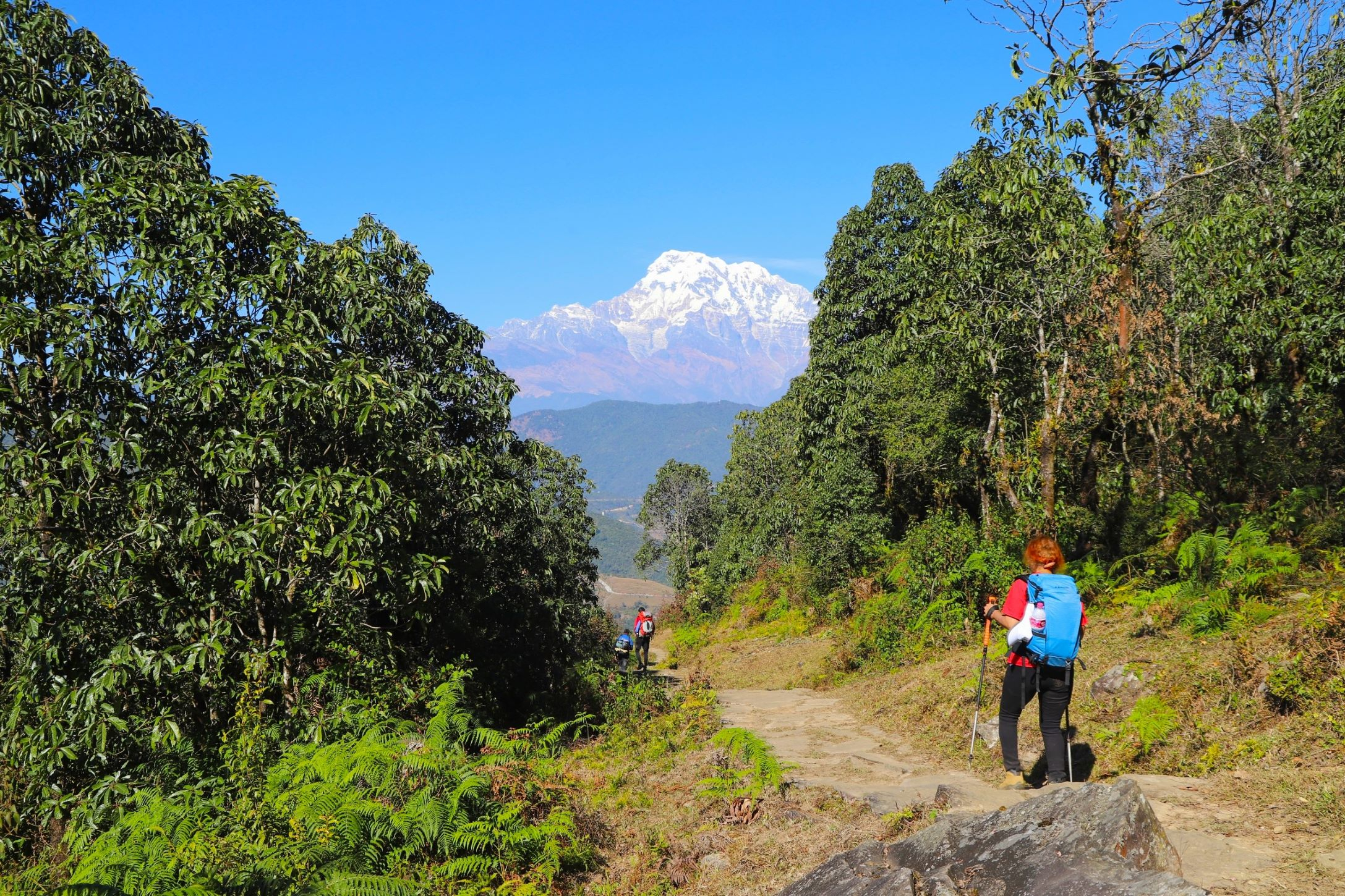 Dhampus Trekking