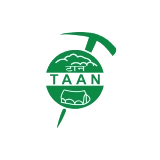 TAAN