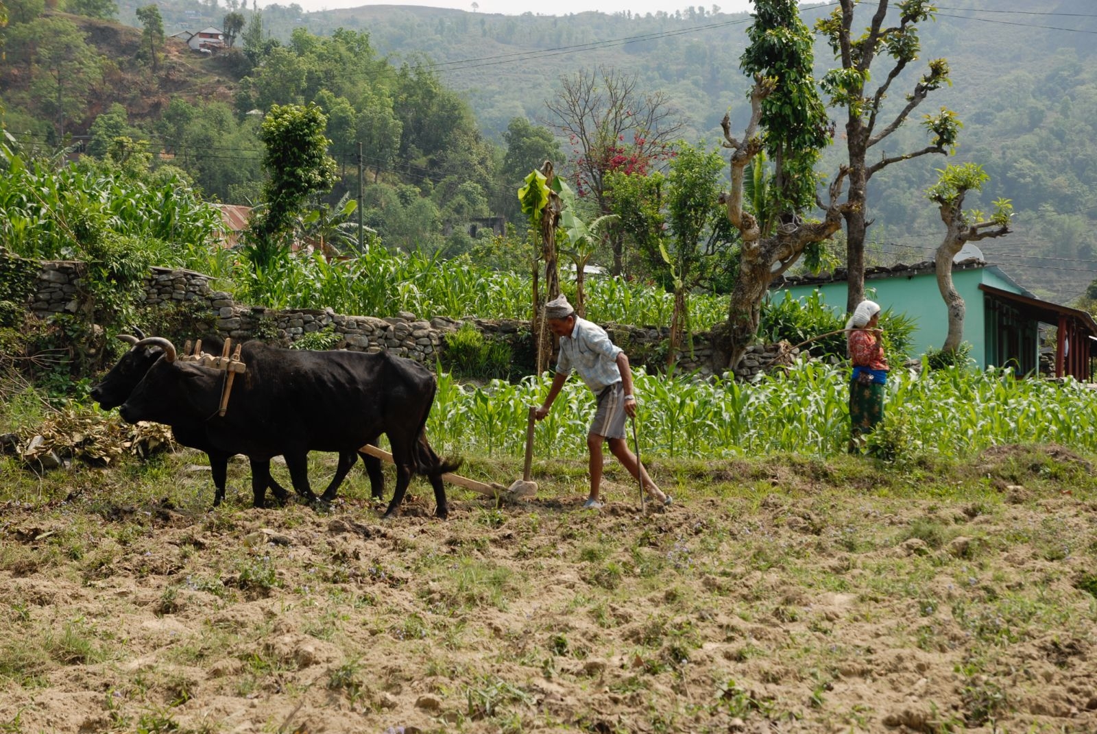 balthali village trek