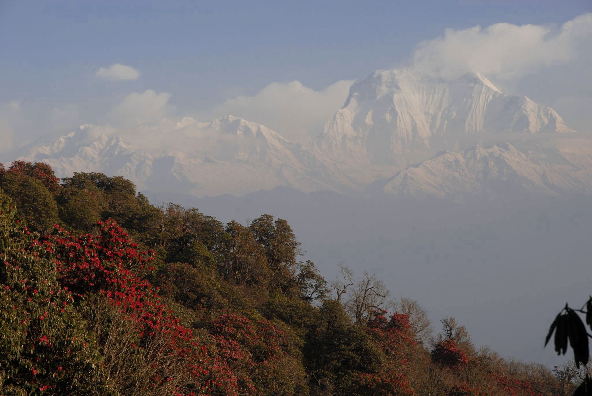 khoke danda trek