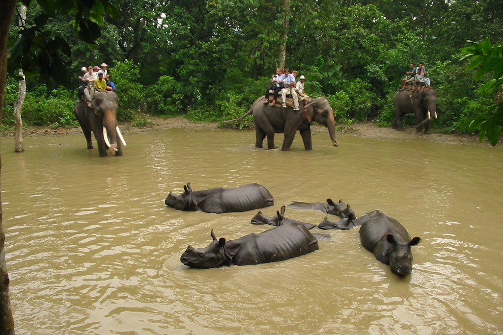 Nepal Tour