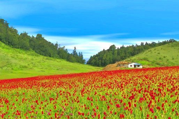 Khaptad National Park Trek