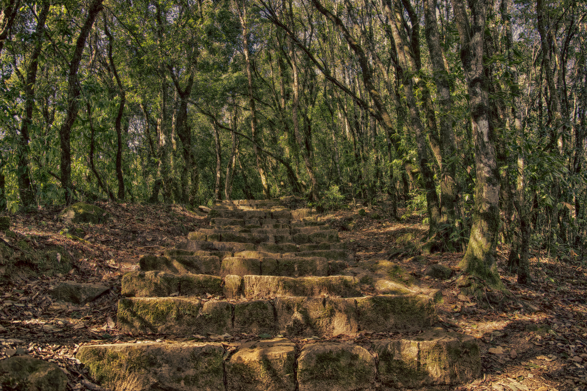 Nagarjun Forest Reserve