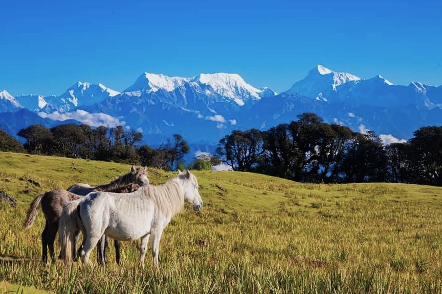 Mundum Trail - Salpa Pass Trek