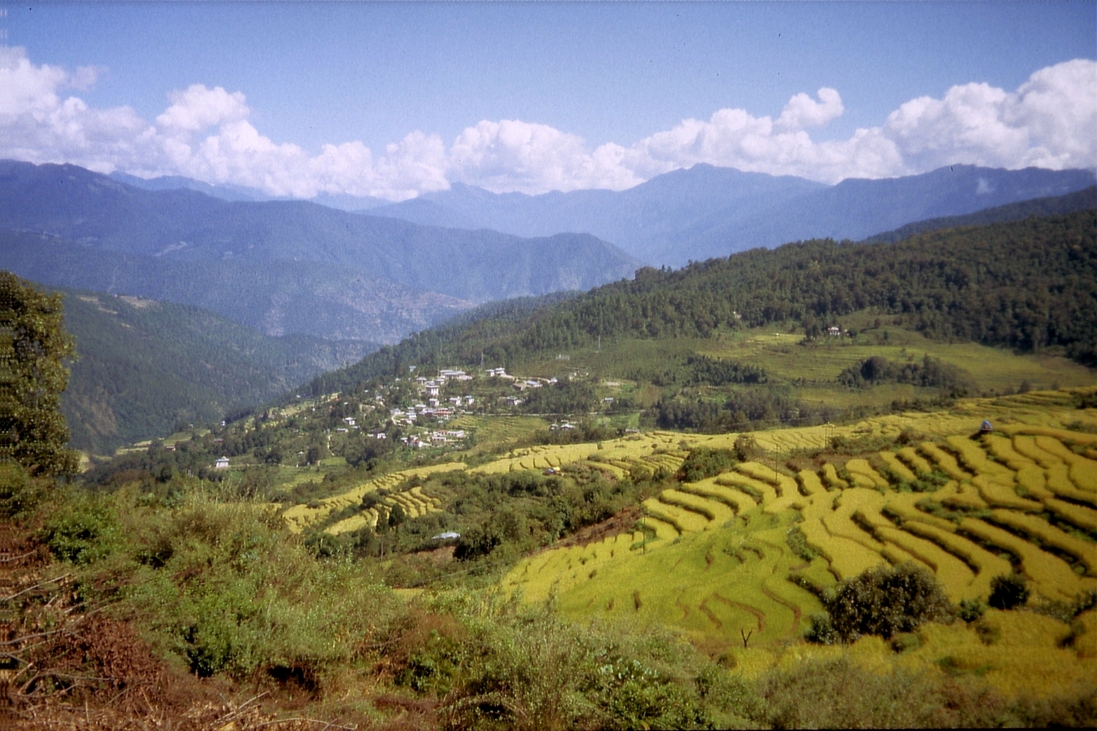 Bhutan Druk Path Trekking